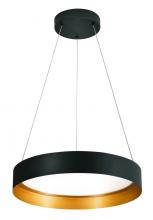 AFX Lighting, Inc. RVP20L30D1BKGD - REVEAL PENDANT LED 40W 3000lm 120V