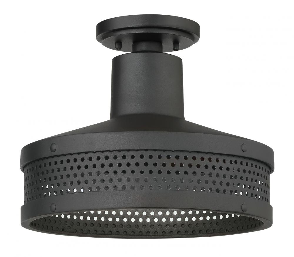 1LT OUTDOOR FLUSH MOUNT