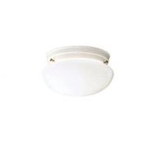 Kichler 209WH - Flush Mount 2Lt