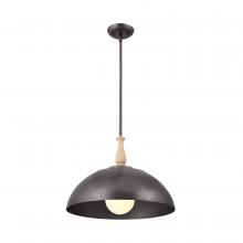 Kichler 52477AVI - Pendant 1Lt