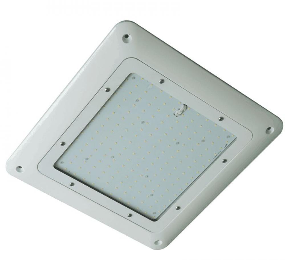 LED GAS STATION/CANOPY LIGHT, 120-277V