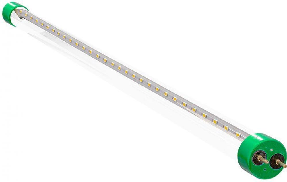 LED T8 2FT, 10W, 1200 LM, 5000K, CLEAR GLASS, TYPE A+B UL LISTED, DLC, NON DIMMABLE (12 pack) (12 pack)