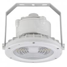 Westgate MFG C1 EXPR-60W-50K - C1D2 HAZ. LOC. ROUND FLOOD HIGHBAY 120-277V 60W 50K GRAY