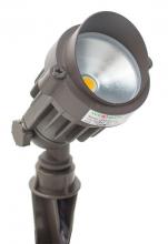 Westgate MFG C1 LF12-6W-30K-KN - 12-VOLT AC/DC LED GARDEN LIGHT