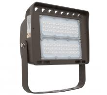 Westgate MFG C1 LF4-80CW-TR - LED ARCHITECTURAL FLOOD LIGHTS LF4 SERIES 120V-277V