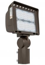 Westgate MFG C1 LF4-80WW-SF - LED ARCHITECTURAL FLOOD LIGHTS LF4 SERIES 120V-277V