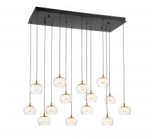 Lib & Co. US 10218-02 - Manarola, 14 Light Rectangular LED Chandelier, Matte Black