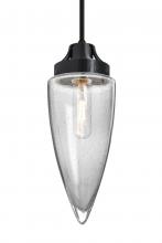 Besa Lighting 1JT-SULUCL-BK - Besa, Sulu Cord Pendant, Clear Bubble, Black Finish, 1x60W Medium Base