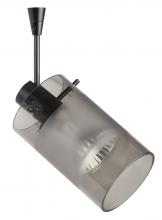 Besa Lighting SP-6524ES-06-BR - Besa Spotlight With 6" Stem Scope Bronze Smoke/Frost 1x50W Halogen Mr16