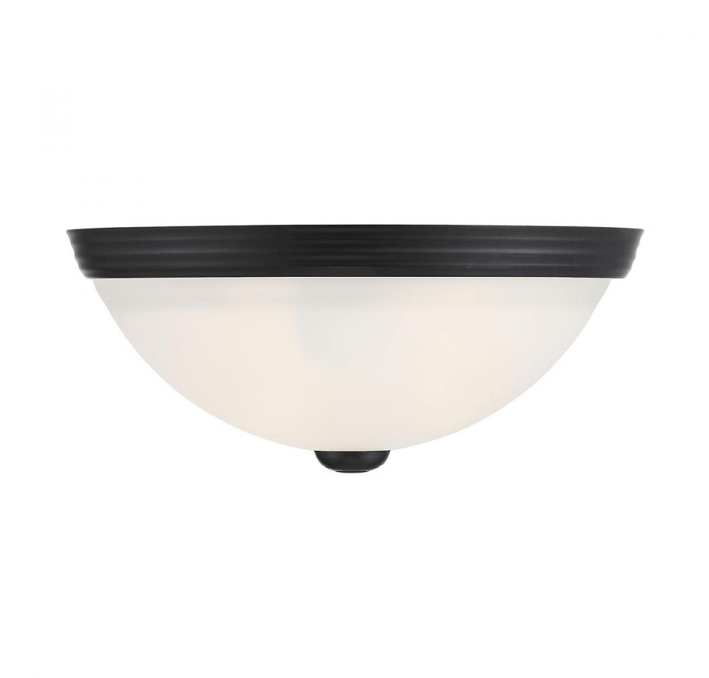 2-Light Ceiling Light in Matte Black