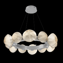 Hammerton CHB0089-36-CS-A-CA1-L1 - Mesa Radial Ring Chandelier