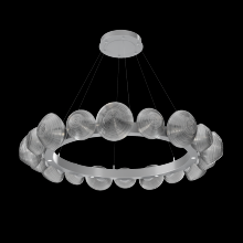 Hammerton CHB0089-48-CS-S-CA1-L1 - Mesa Radial Ring Chandelier