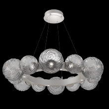 Hammerton CHB0092-39-BS-S-CA1-L3 - Gaia Radial Ring Chandelier