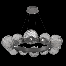 Hammerton CHB0092-39-GP-S-CA1-L3 - Gaia Radial Ring Chandelier