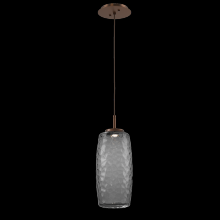 Hammerton LAB0091-01-BB-S-C01-L1 - Vessel Pendant (Large)-Burnished Bronze-Smoke Blown Glass-Cloth Braided Cord-LED 2700K