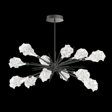 Hammerton PLB0059-0A-GP-BC-001-L3 - Blossom Oval Starburst - 0A