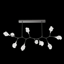 Hammerton PLB0059-BC-GP-BC-001-L3 - Blossom 10pc Branch-Graphite-Blossom Clear Blown Glass