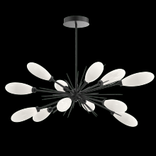 Hammerton PLB0071-0A-MB-WL-001-L3 - Fiori Oval Starburst Chandelier 50"