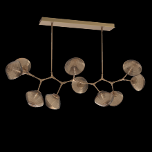 Hammerton PLB0089-BC-NB-B-001-L3 - Mesa Modern Branch - 10pc