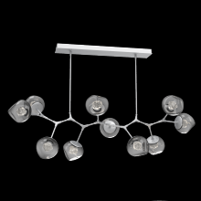 Hammerton PLB0095-BC-CS-ZS-001-L1 - Luna Modern Branch Chandelier