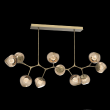 Hammerton PLB0095-BC-GB-FB-001-L1 - Luna Modern Branch Chandelier