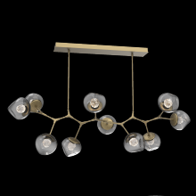 Hammerton PLB0095-BC-GB-FS-001-L1 - Luna Modern Branch Chandelier