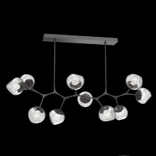 Hammerton PLB0095-BC-GP-ZC-001-L1 - Luna Modern Branch Chandelier