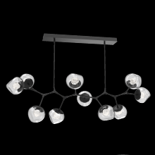 Hammerton PLB0095-BC-MB-ZC-001-L1 - Luna Modern Branch Chandelier