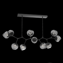 Hammerton PLB0095-BC-MB-ZS-001-L1 - Luna Modern Branch Chandelier