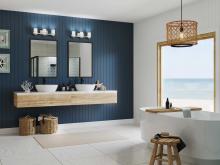 PROG_Coastal_Bathroom_view1_P300415-009_3D_appshot.jpg