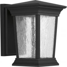 Progress P6067-3130K9 - Arrive Collection One-Light Small Wall Lantern