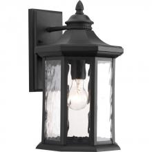 Progress P6072-31 - Edition Collection One-Light Large Wall Lantern