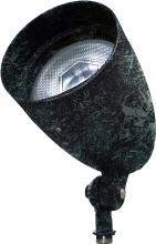 Dabmar DPR38-GL-VG - PAR38 SPOT LIGHT WITH GLASS COVER 120V