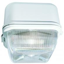 Dabmar DW8861-W - MED CEILING FIX 70W HPS 120V