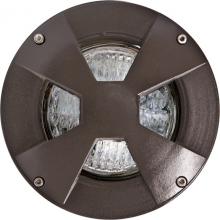 Dabmar LV307-LED9-BZ-SLV - WELL LIGHT W/DRIVEOVER CVR W/ SLV 9W LED PAR36 12V