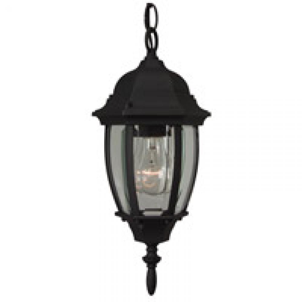 Bent Glass 1 Light Outdoor Pendant in Textured Black