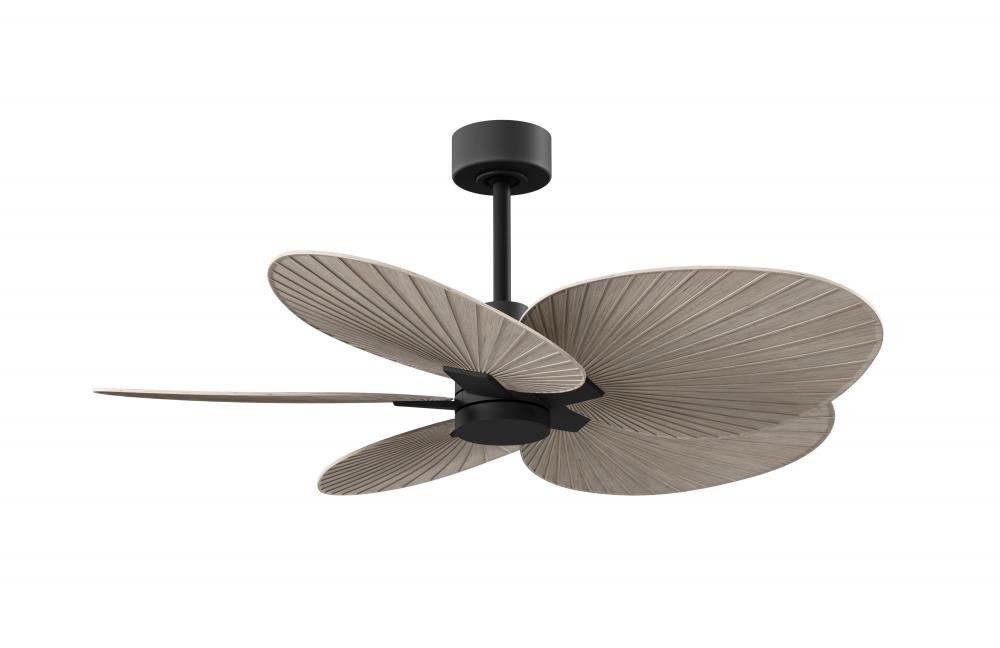 Alessandra Tropical 5-blade ceiling fan in Matte Black and Gray Ash Tone blades.