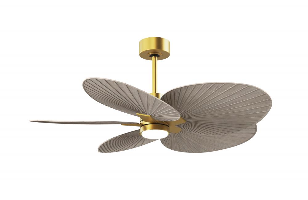 Alessandra Tropical 5-blade ceiling fan in Brushed Brass and Gray Ash Tone blades.