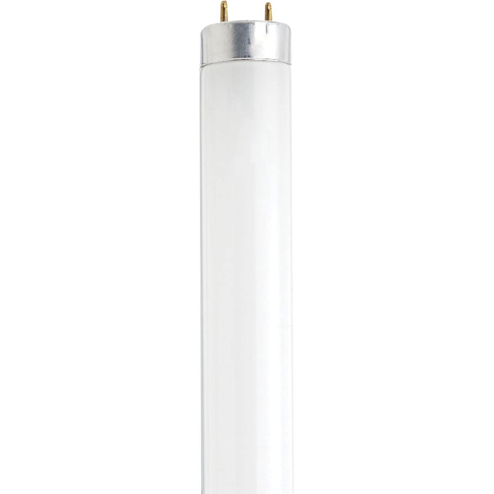 13 Watt; 12 Inch Fluorescent T8; 4100K; Cool White; Medium Bi Pin base