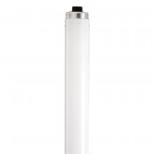 Satco Products Inc. S22940 - 60 Watt; T12 Rapid Start Fluorescent; 6500K Daylight; 80 CRI; Recessed Double Contact HO/VHO