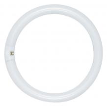 Satco Products Inc. S2950 - 20 Watt; T9; Circline Fluorescent; 3000K Warm White; 52 CRI; 4-Pin base