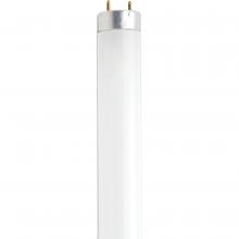 Satco Products Inc. S7920 - 13 Watt; 12 Inch Fluorescent T8; 4100K; Cool White; Medium Bi Pin base