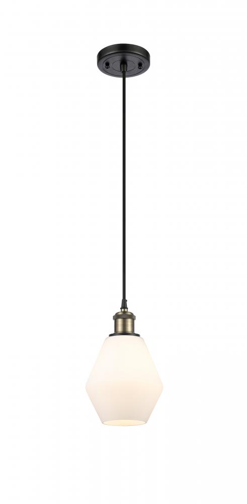 Cindyrella - 1 Light - 6 inch - Black Antique Brass - Cord hung - Mini Pendant