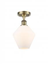 Innovations Lighting 516-1C-AB-G651-8 - Cindyrella - 1 Light - 8 inch - Antique Brass - Semi-Flush Mount