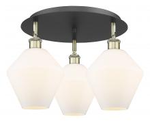 Innovations Lighting 516-3C-BAB-G651-8 - Cindyrella - 3 Light - 20 inch - Black Antique Brass - Flush Mount