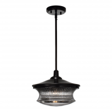 Zeev Lighting P30044-1-DBZ - 1-Light 12" Single Pendant