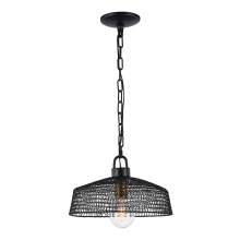 Zeev Lighting P30066/1/DBZ - 1-Light 13" Metal Shade Pendant