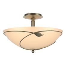 Hubbardton Forge 126732-SKT-84-SS0052 - Forged Leaves Large Semi-Flush