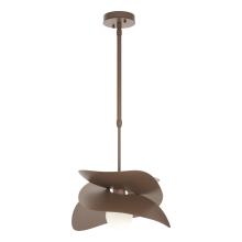 Hubbardton Forge 369455-SKT-STND-75 - Hibiscus Outdoor Pendant