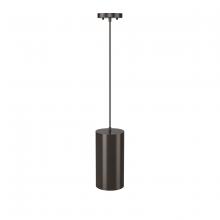 Millennium 2961-PBZ - Outdoor Hanging Pendant